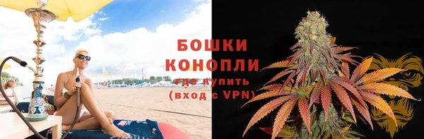прущие грибы Карпинск