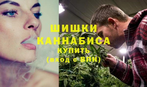 прущие грибы Карпинск
