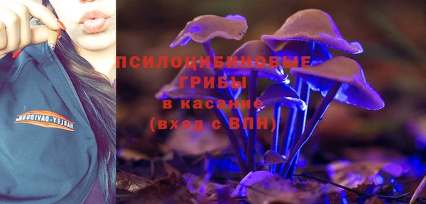 spice Карталы