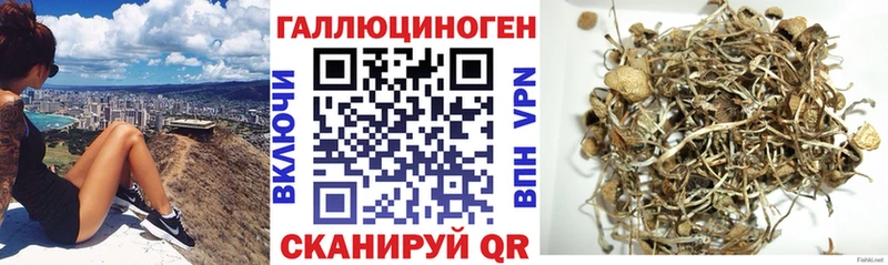 Псилоцибиновые грибы ЛСД  Купить где  Боровичи 